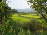 Scene from Tomuichi, town of 300 people