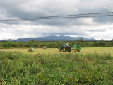 Farms turn to dairies as we go north. Camped on the coast at a roadside hotel w/ a campground.