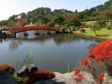 Another view of the pond within the garden.