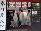 Visiting the famous Nikko Toshigu Shrine.
