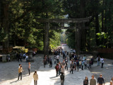 Visiting the famous Nikko Toshigu Shrine.