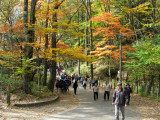 People headed to the waterfall.