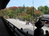 Temple grounds.