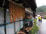 There was a light rain when we hiked the Nakadendo trail.