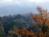 Mountain Light.