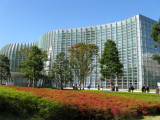 Day 57: The Tokyo National Art Center in Tokyos Midtown area.