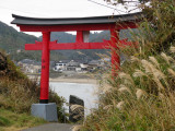 The Torii, gateway into the shrine.