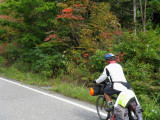 The mountains are starting to show some fall colors.