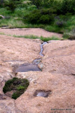 Rain Puddles and Falls