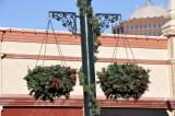 Kansas City Country Club Plaza at Christams- DSC0094