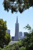 Transamerican Tower - DSC_8084.jpg