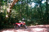 MY BIKE IN RAIN FOREST - PEMBA