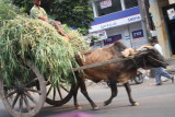 Cart still in use MAR 2009