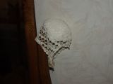 Ferns Crochet baby cap
