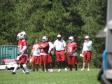 Head coach Dennis Green