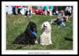 IMG_1513.jpg