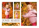 Josie_Card_Collage_0001_02.jpg