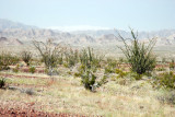 09_bradshaw_trail