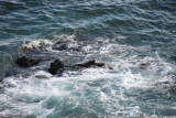 Rocks 01.jpg