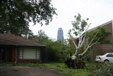IMG_3847s.jpg