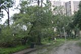 IMG_3848s.jpg
