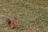 austin2008_014.jpg