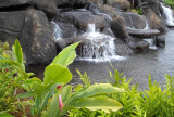 waterfall in Kauai