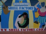 At the Shell Factory Ty