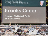 Trip to Brooks Lodge & Katmai