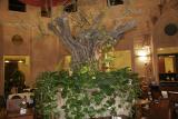 Olive tree main dining room