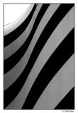 zebra  II (abstract)