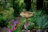 Beautiful area with lovely birdbath