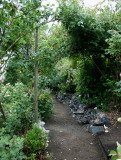  A Lovely Pathway in the Garden