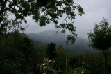 The misty mountains beyond the garden