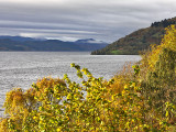 Along Loch Ness