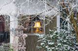Light in the Window