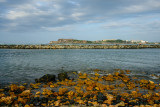 Old San Juan accross the bay