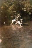 Kodacolor print 1944