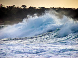 Pacific Waves