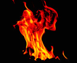 Flames  _MG_7480.jpg