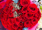 Red roses _MG_1709.jpg
