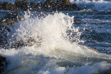 4 ex foamy spray ocean wave break_MG_9424.jpg