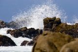 ex breaking wave foam rocks_MG_9088.jpg