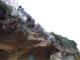 Great Ocean Walk 2009 185.jpg