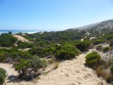 Great Ocean Walk 2009 271.jpg