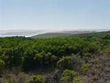 Great Ocean Walk 2009 286.jpg