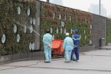 How to water vertical gardens