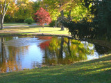 the beauty of an autumn afternoon