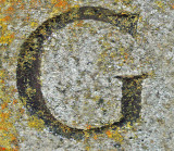 G