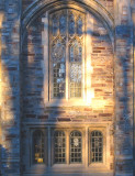 Late afternoon glow